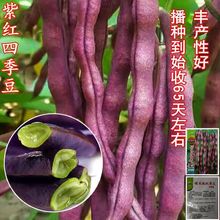 ߮aϼtļNӶǲ˶ϼܶNԴ߲˷N