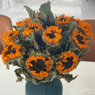 ���տ��ɻ����W�Lins���s�Ҿӿ͏d�b������͹�̩�Ϗ͹��L