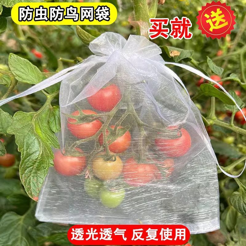 b447e962-3fc1-433b-9252-f368cba5b8e3.jpe