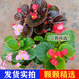 �ļ������_�������҃�ͥԺ�������������ﺣ�����ֺ��B���B��