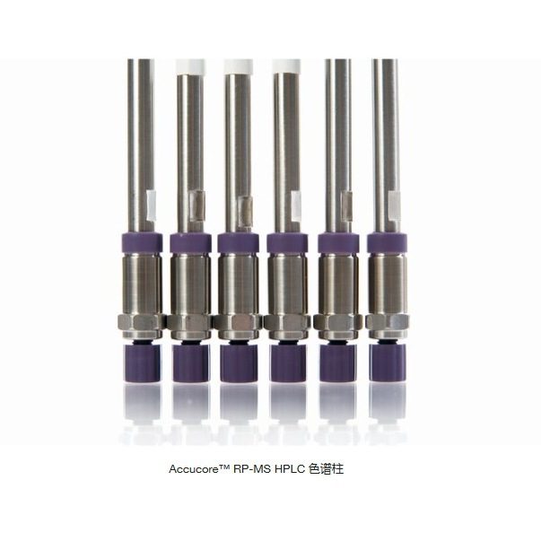 17626-052130 赛默飞Accucore RP-MS色谱柱 50x2.1mm 2.6µm