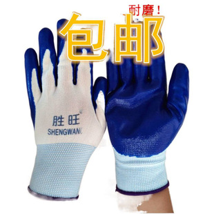 ���]�ڱ����� ����13��������ඡ��T�z ���������Ͷ�������