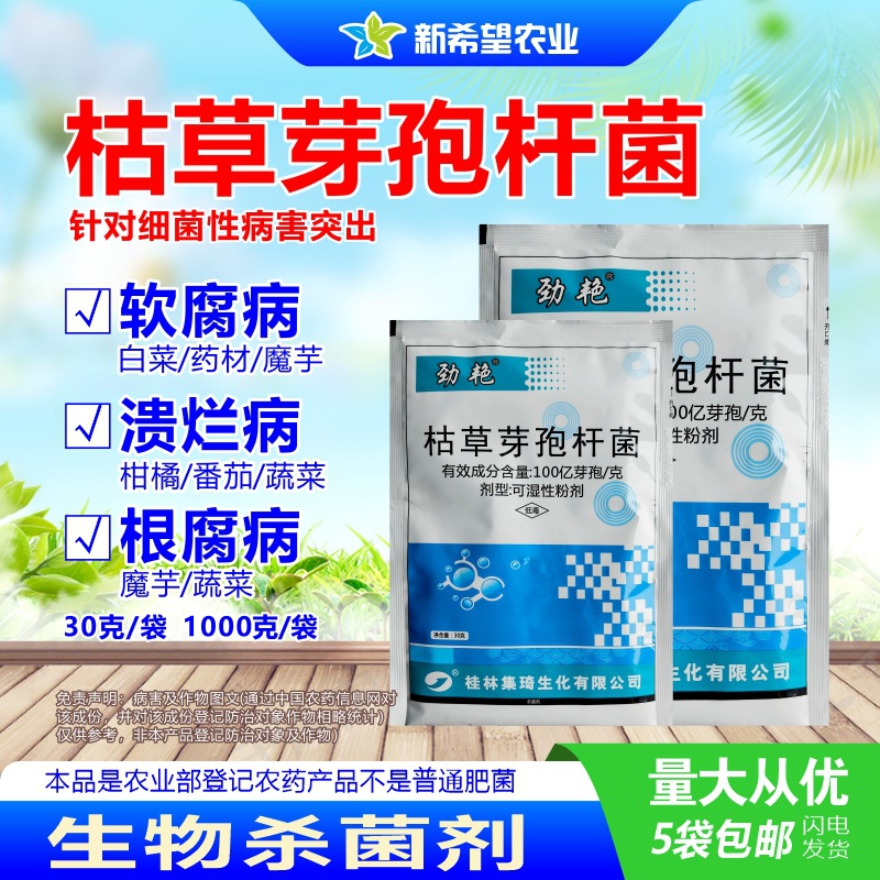 劲艳 枯草芽孢杆菌柑橘番茄溃 疡病白菜青菜药材软腐病农药杀菌剂