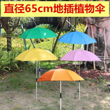 65cm直径植物伞伸缩铝合金杆地插伞花盆遮阳伞盆栽防晒防雨伞银胶