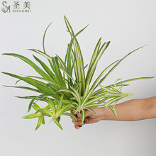 �������@�b���С֦42�~���m�ݲ͏d�������ֲ��bG�}�~