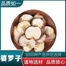 中药材 娑罗子 梭罗子 婆罗子 桫椤果 梭椤果 索罗子 支持药检