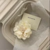 Apricot small flower hairpin (AA0927)