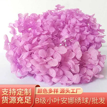 处理B级小叶安娜绣球永生花情人节圣诞节生日礼物礼盒配花材