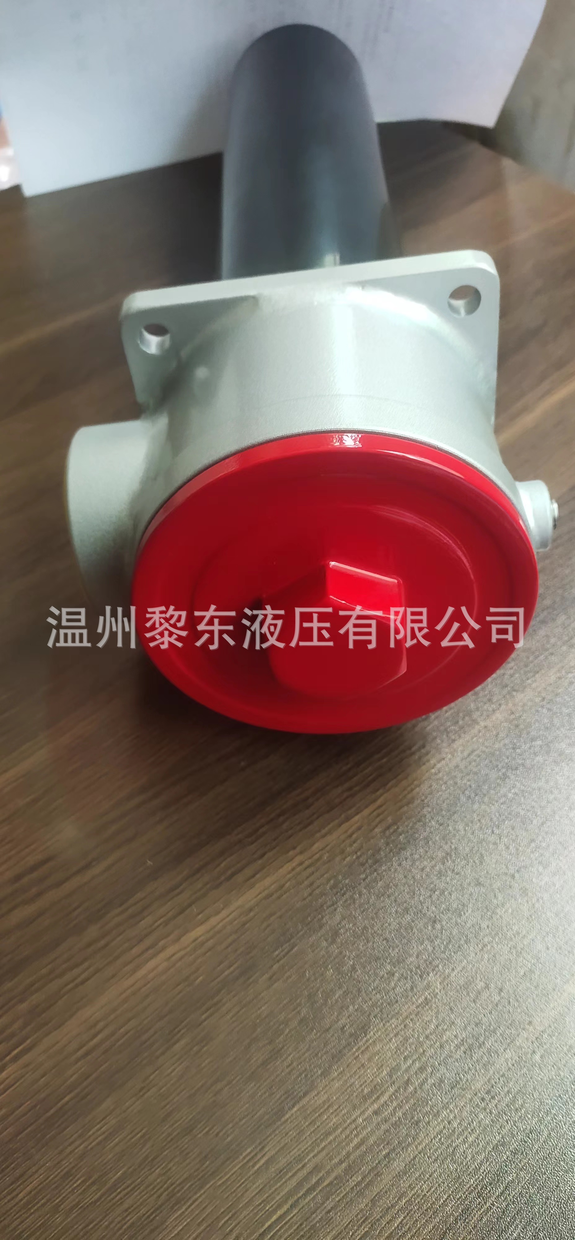 TSW TEF.426.25VG TEF625.10VG TEF952.16VG.10.S.PFS系列过滤器