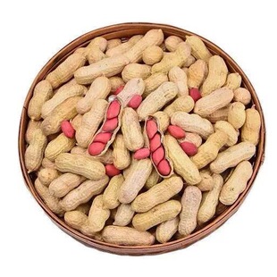 �|���tƤ�������������������r���������l��ɳ��컨��