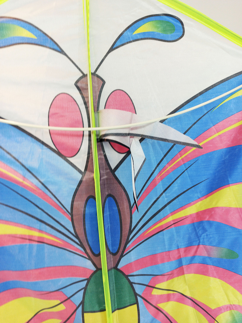 XCH长尾彩蝶- (6).jpg