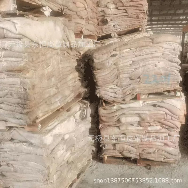 河北无极出售 盐湿牛皮 卤水黄牛皮 黄牛皮 盐湿毛皮 黄牛皮