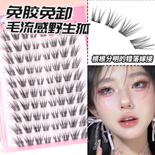 又野又纯！免胶免卸野生狐假睫毛斜飞毛流感上镜灵动浓密凌乱感女