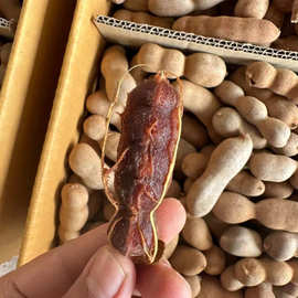 厂家直批 20斤小直甜角 凯龙欣 力汇牌 酸甜角 电商直供酸甜味