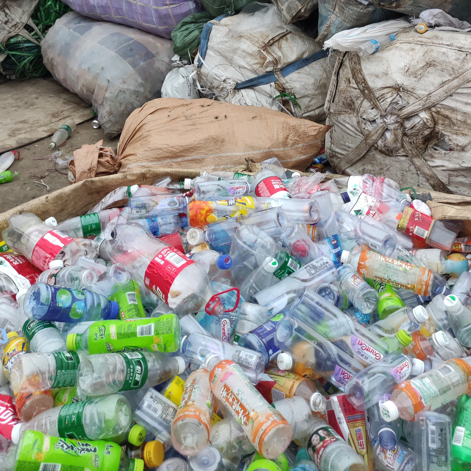 销售废品PET塑料 PET废旧瓶再生塑胶 可开增值发票 塑料回收站