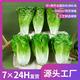 仿真果蔬;食物工艺品;其他工艺品