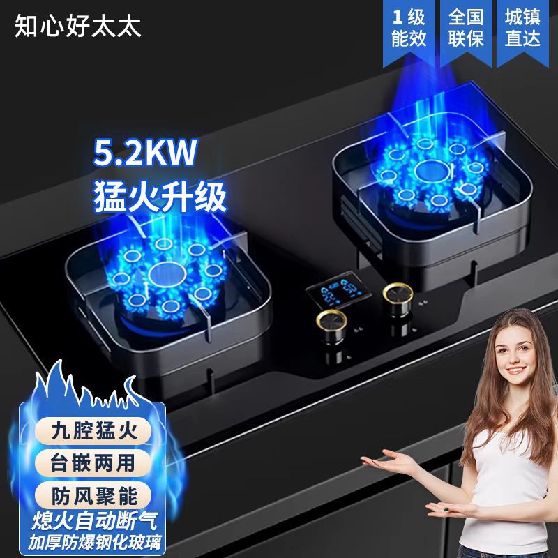 좋은 레이디 가스 스토브 더블 스토브 가정용 가스 스토브 데스크탑 내장 화재 스토브 천연 가스 액화 가스 스토브 더블 헤드