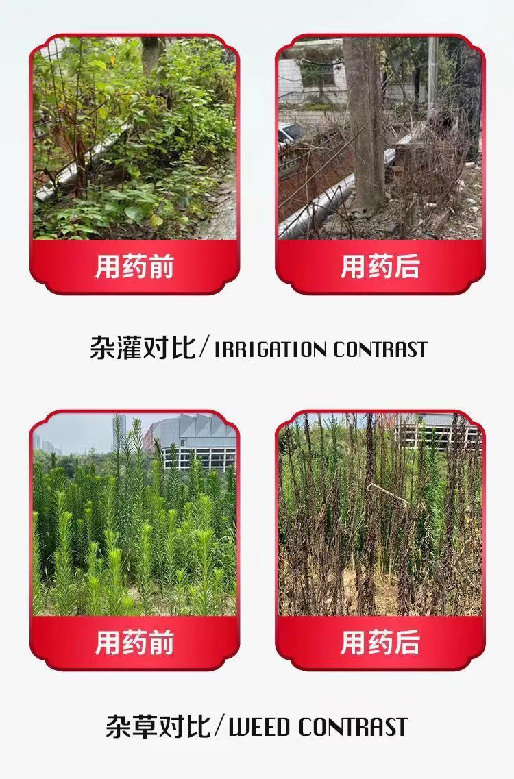 微信图片_20240529141137