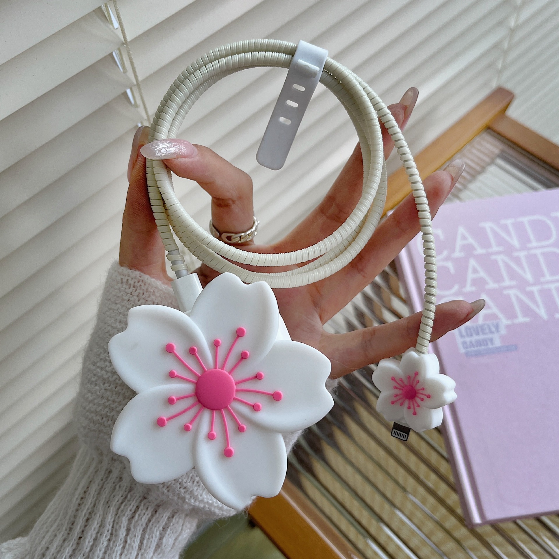 흰 베고니아 꽃