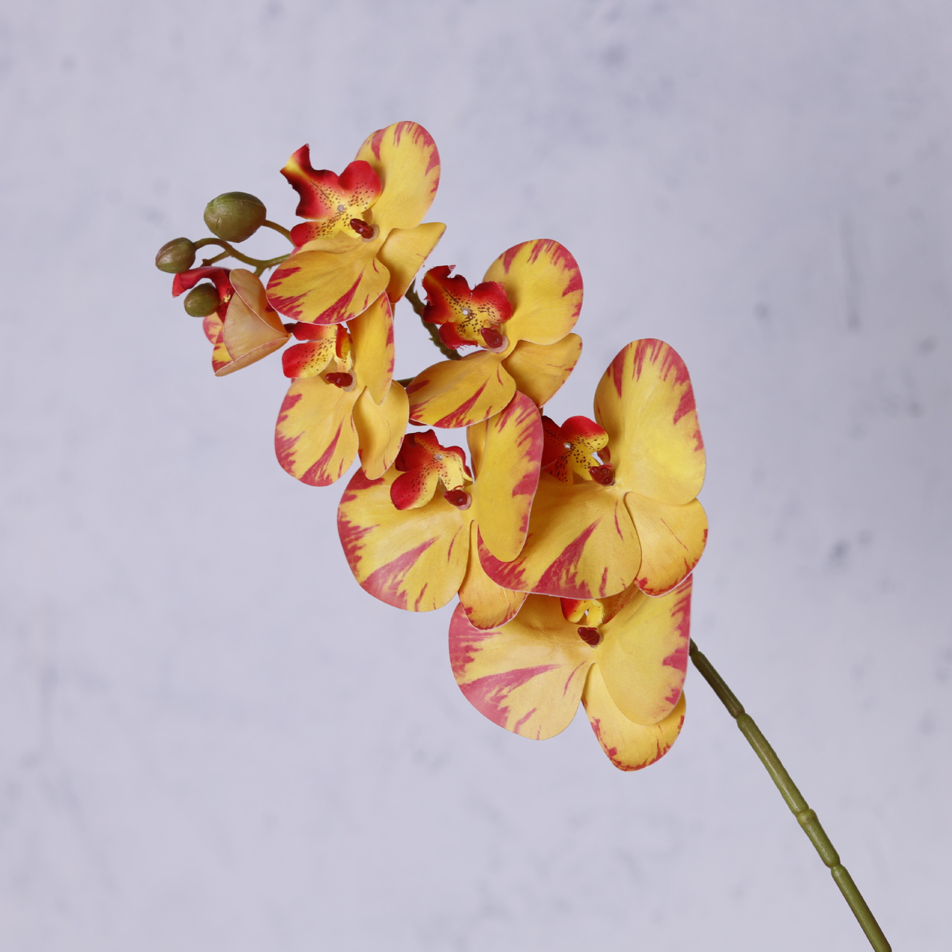 Impresión 3D de 7 cabezas de orquídeas mariposa flor de decoración de flores de alto nivel flor de nicho decoración floral decoración de sala de estar