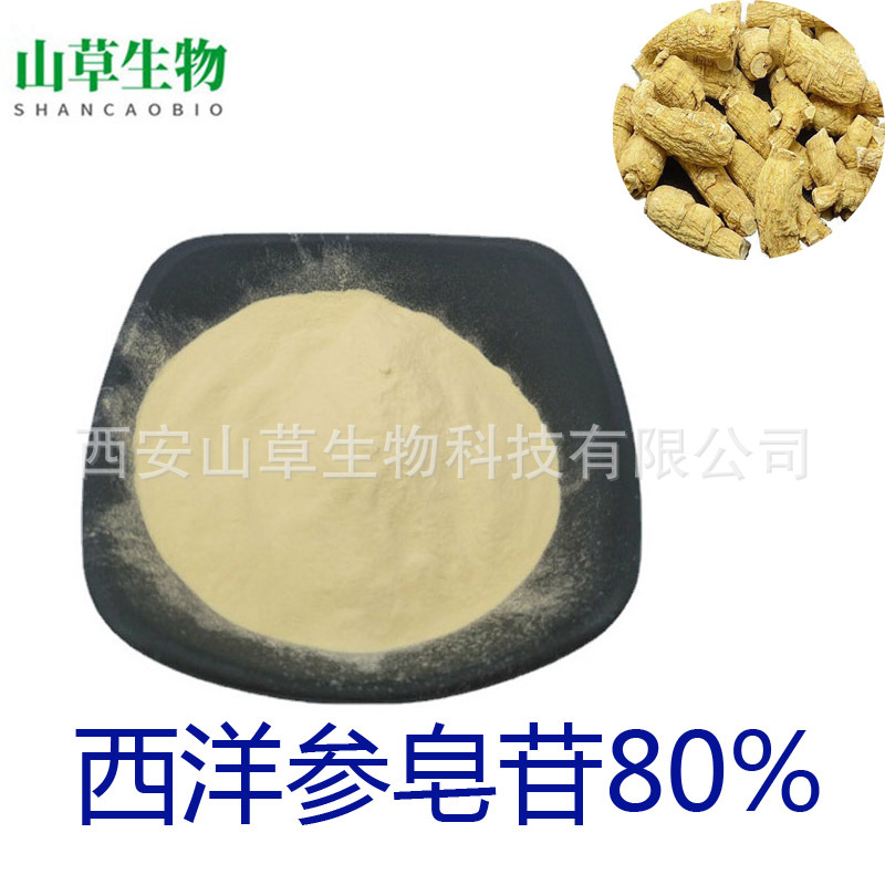 西洋参皂甙 80% 西洋参提取物 西洋参总皂甙 西洋参超微粉 现货