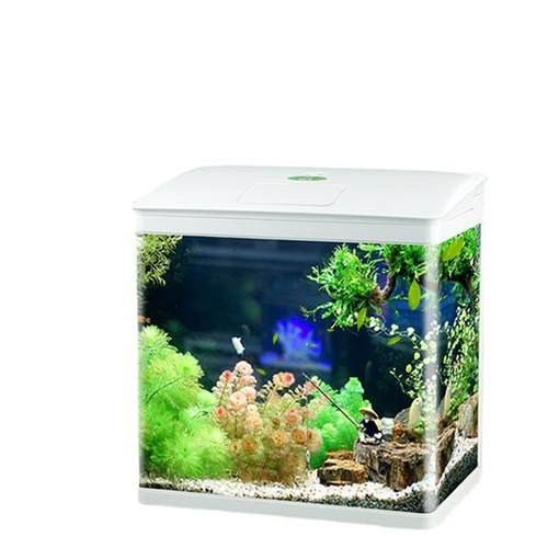 Jialu fish tank aquarium JR small glass fish tank mini creative desktop medium-sized creative ornamental turtle gold fish tank