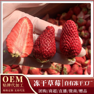 ���ɲ�ݮˮ�����ɲ�ݮ�o���ǬF؛���l��ݮ�決ԭ�σ��ɲ�ݮ