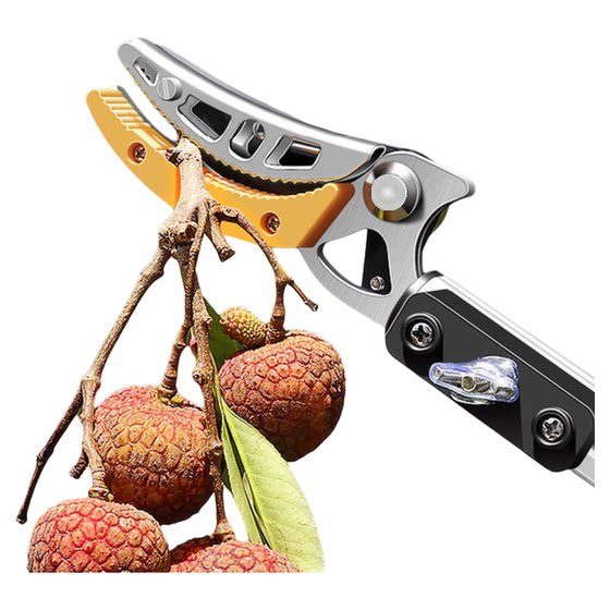 Fruit-picking scissors Fruit-picking Litchi Longan Loquat Retractable High-altitude scissors Fruit-picking artifact Lender scissors