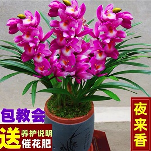 �������m���ļ��_���҃ȿ͏dޥ�m���m�͟��ͺ�����ֱ�l���B����