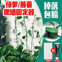 �G�}�����������ӾG�j�̶����Ϲ̶��A�������h�G�_�ۭh�Gֲ�̶���