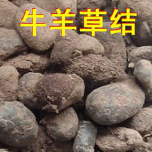 中药材 牛羊草结 西格格 羊草结 羊胲子 包邮