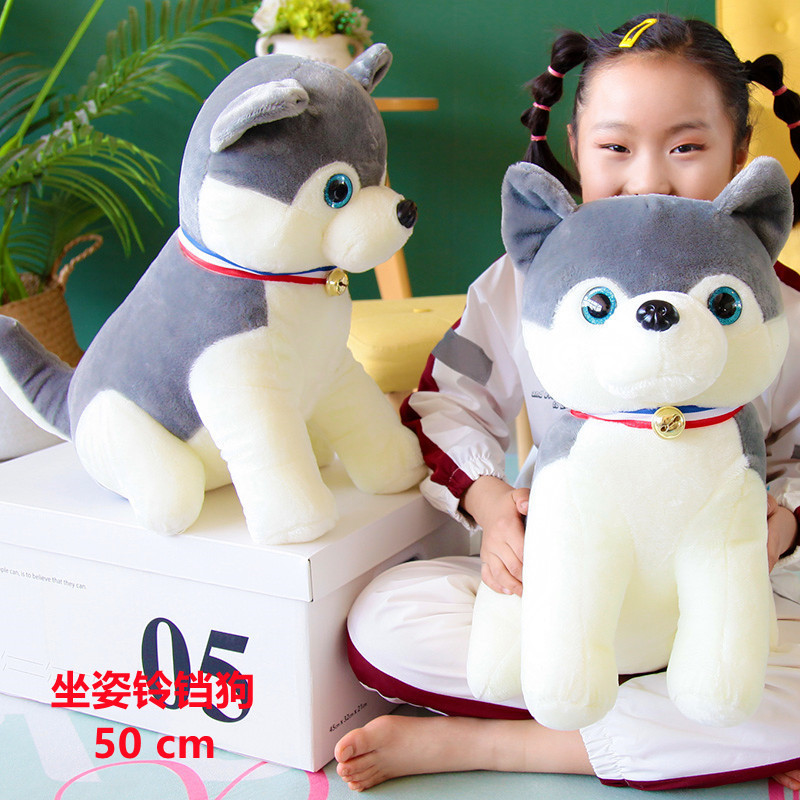 앉아있는 벨독 50cm