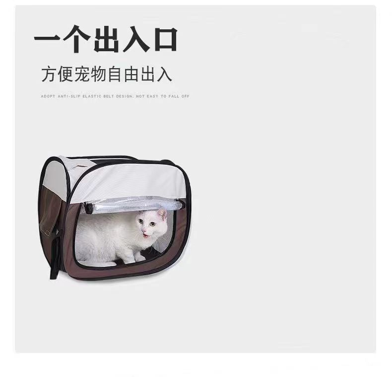 edc8bc37-67b4-4124-b205-25c2149f7428.jpe