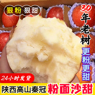 ����ɳ���O������t�ع��O�����ˋ냺�ЋD�ι�������r9���]