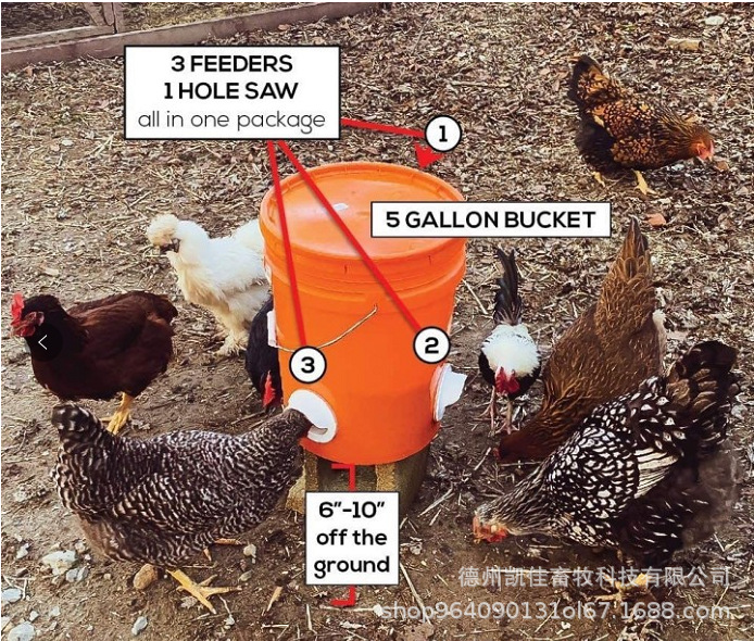 微信图片_20220615144809