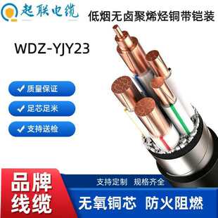 ��WDZ-YJY23�͟��o�u��ϩ�N�~���z�b��ȼ����|����܇����