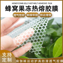 PET蜂窝果冻孔胶瑜伽裤运动护具复合双面烫胶高弹透气防滑耐水洗