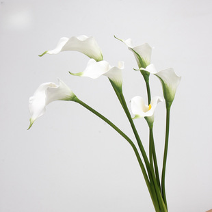 EVA�R��ɏ���滨��Y�����������ٻ���֦�ҾӲ廨��ļҾ��b�