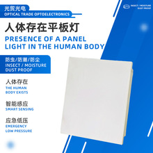 家用卫生间感应灯人体感应平板灯卧室走廊厨房灯免开关智能感应灯