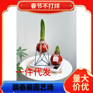 ��Խ���m��피t�M���ذ�N����Ϸǹ��Ȱ����׻���ȸõ�廨�����`