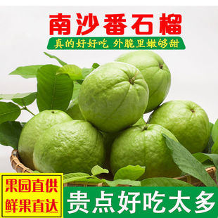 ��S3-5�����r��ɳ��ʯ������İŘ�ˮ����������S�S���l���l