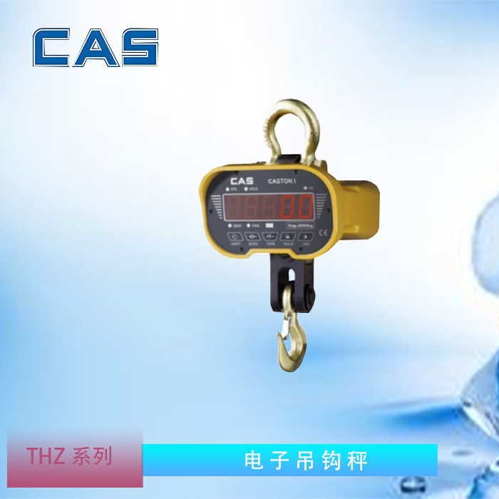 直视电子吊钩秤韩国CAS凯士CASTON THZ-10T 码头行车吊装称重组件