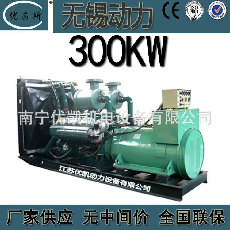厂家批发无锡动力300kw柴油发电机组房地产备用发电机WD145TAD30