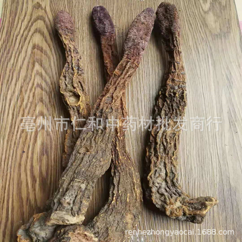 Dried Suo Yang Cynomorium Slices Whole Herb Tonic Herbal Tea and Decoction Ingredient key features