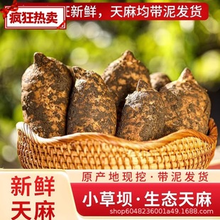 �����ș��ͨС�݉Ξ������Ұ���ؼ�һ�����l��Ȼ�a��ֱ��