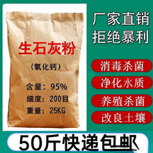 生石灰粉斤鱼塘驱虫净水刷树养殖吸潮干燥剂土壤白灰粉批发