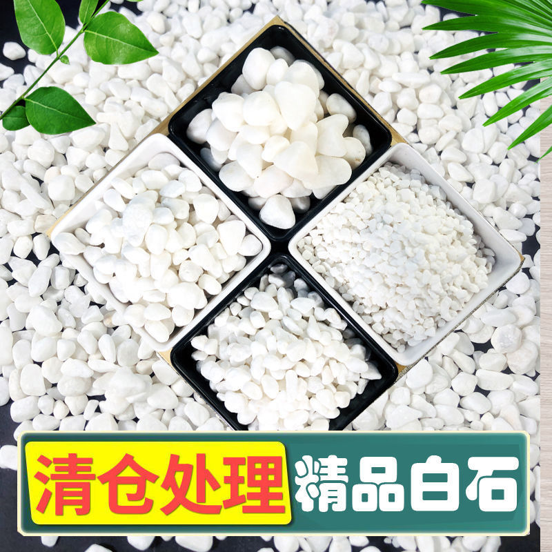 Succulent Paving Stones for Flower Cultivation, Small White Stones, Pebbles, Rain Flower Stones, Fish Tank Landscaping, Potted Plants, Courtyard Paving 2.5kg