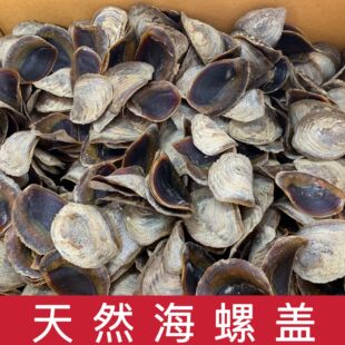 ���� �ϸ����ș�ú����w�����w�݅�500g���㌣����Ȼ����Ϻ���