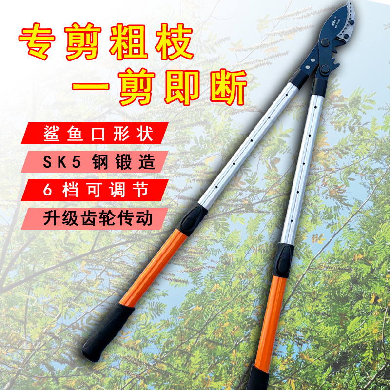 Nuevos árboles frutales de corte pesado, tijeras de corte de ramas altas, tijeras de ramas gruesas, engranajes de tijeras de ramas grandes, ramas de tijeras de gran extensión