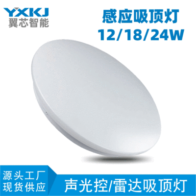 LED声光控吸顶灯 感应吸顶灯 led楼道声控灯　微波雷达感应吸顶灯|ru